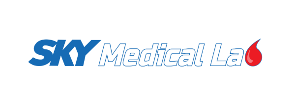 sky medical logo